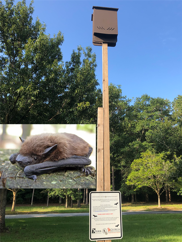 Commercial Bat House